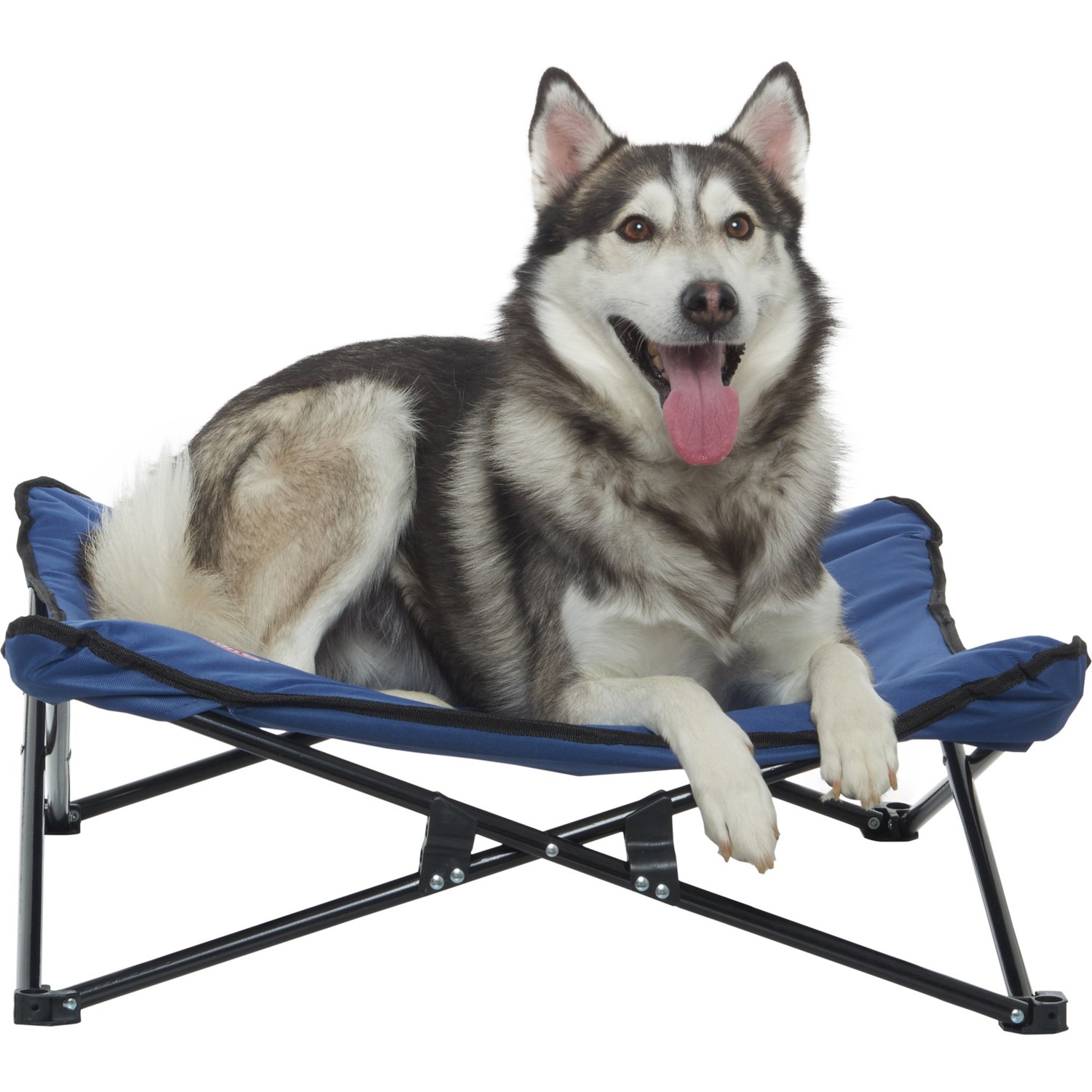 coleman folding pet cot
