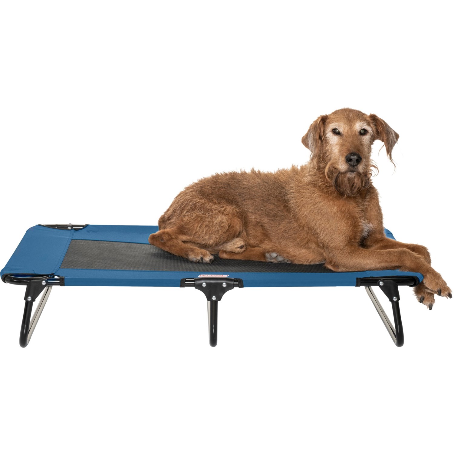 Coleman fold and go pet cot 42x24x8 save 30 