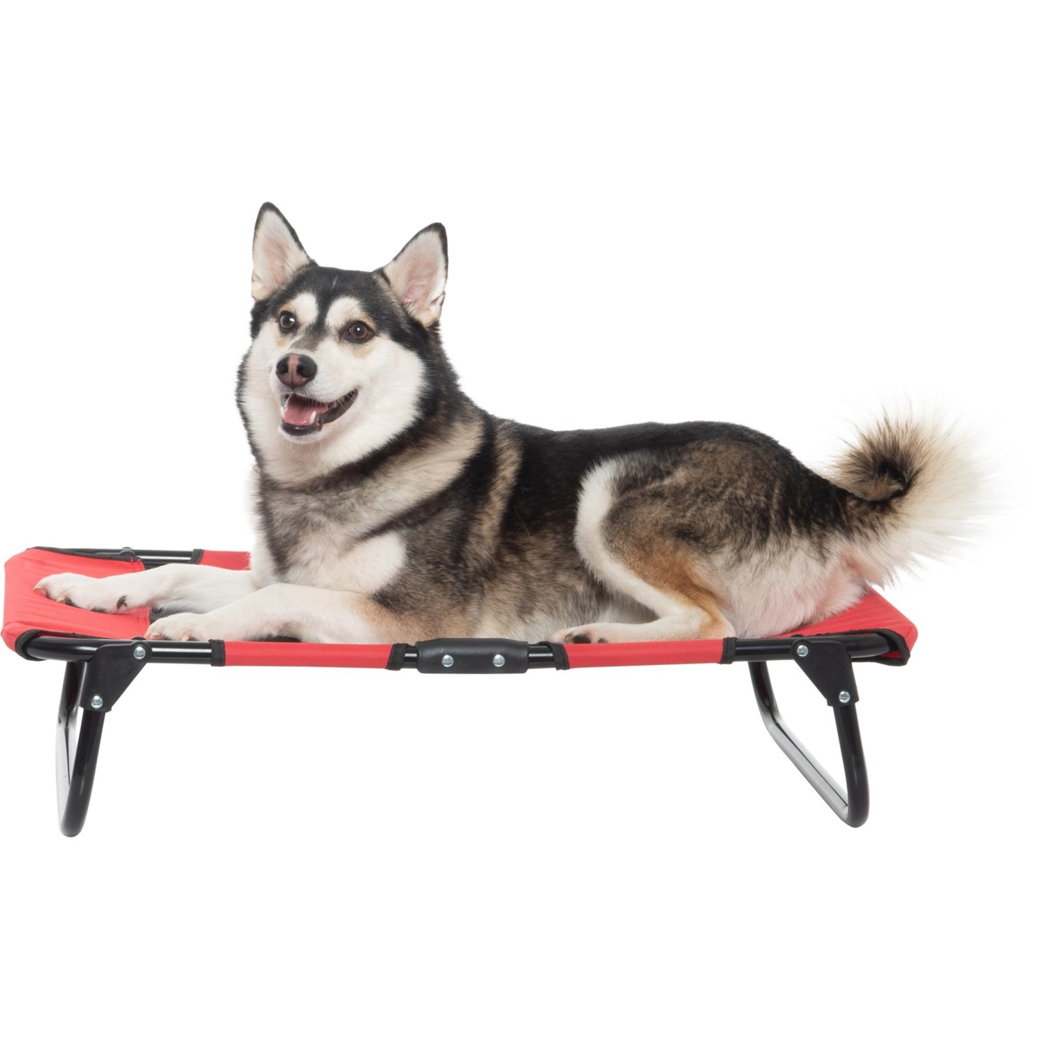 coleman dog cot large