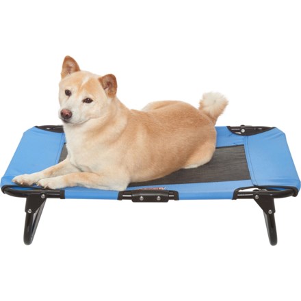 coleman dog cot