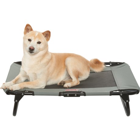 folding dog cot