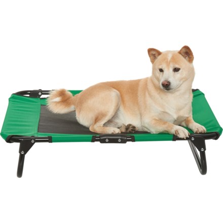 coleman folding dog cot