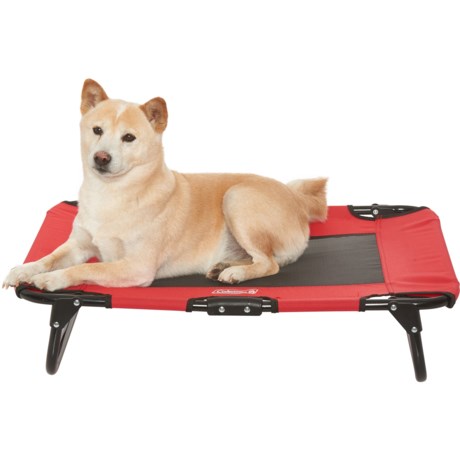 coleman folding dog cot