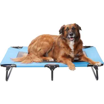 Coleman Large Fold and Go Pet Cot - 42x24x8” in Blue Pattern