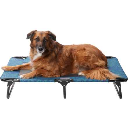 Coleman Large Fold and Go Pet Cot - 42x24x8” in Blue
