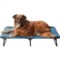 Coleman Large Fold and Go Pet Cot - 42x24x8” in Blue