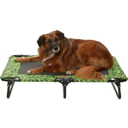 Coleman Large Fold and Go Pet Cot - 42x24x8” in Botanicalgreen