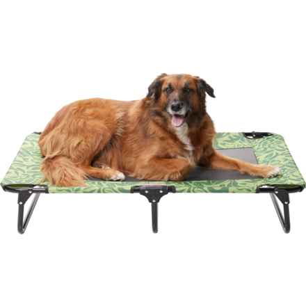 Coleman Large Fold and Go Pet Cot - 42x24x8” in Green Pattern
