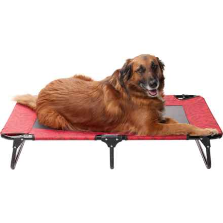 Coleman Large Fold and Go Pet Cot - 42x24x8” in Red Pattern