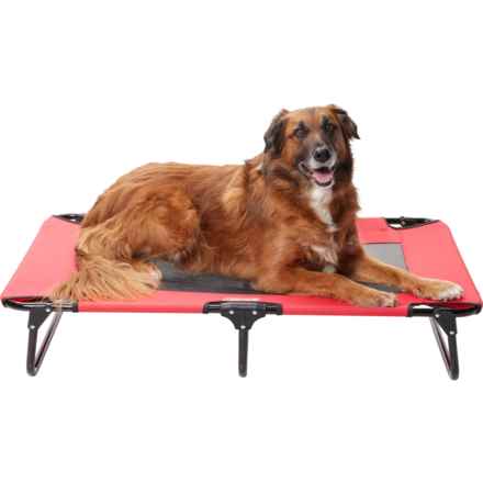 Coleman Large Fold and Go Pet Cot - 42x24x8” in Red
