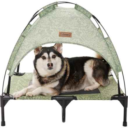 Coleman Large Folding Pet Cot with Canopy - 30x24x7” in Green