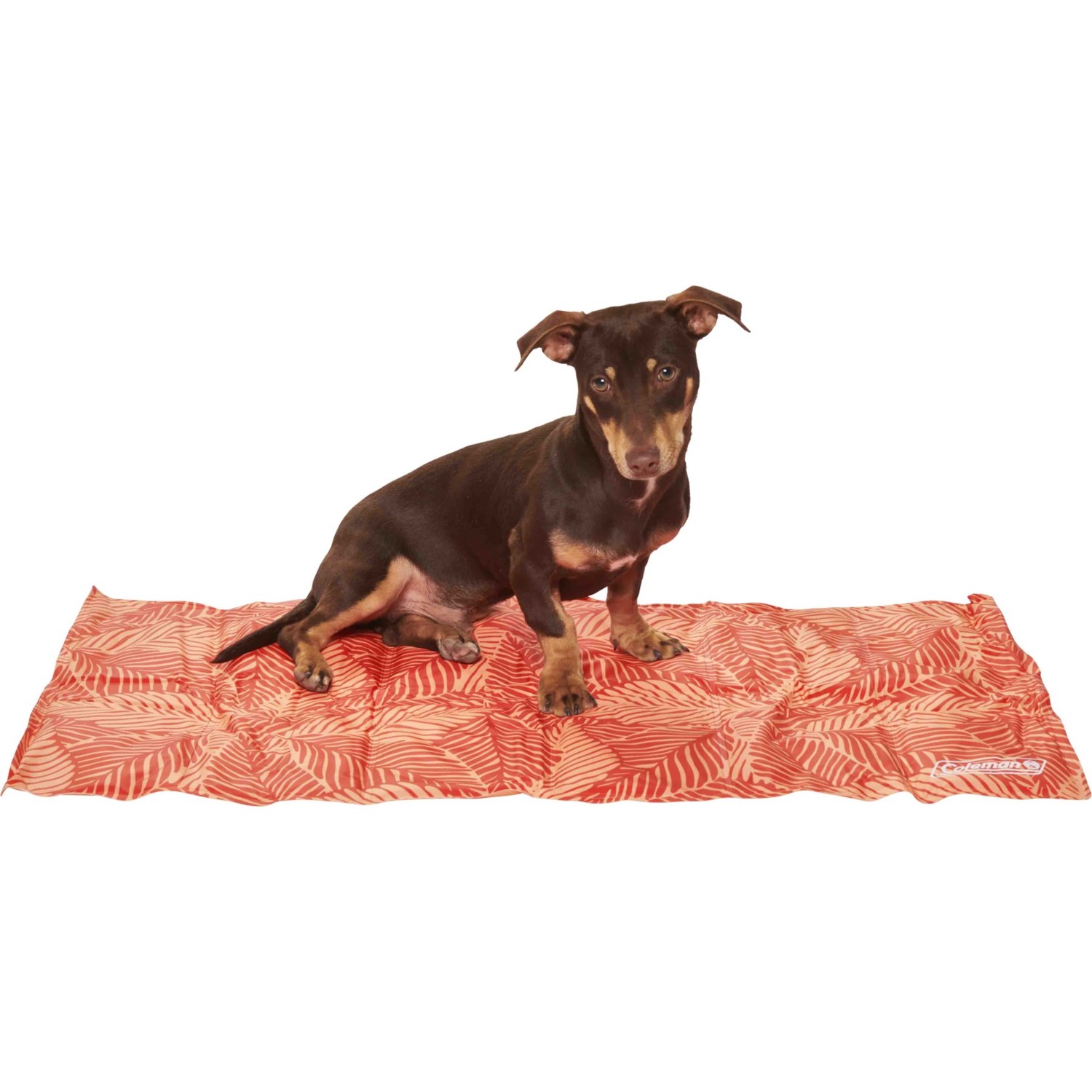 Coleman Pet Cooling Mat 20x36” Save 44