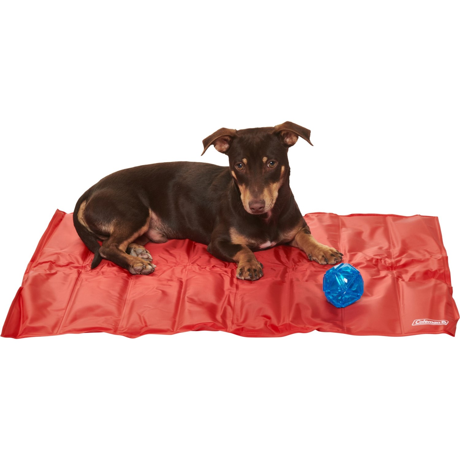 Coleman Pet Cooling Mat with Toy - 24