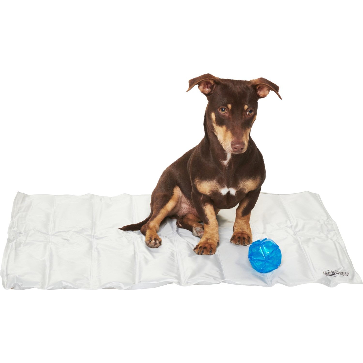 Coleman Pet Cooling Mat with Toy 24x30” Save 27