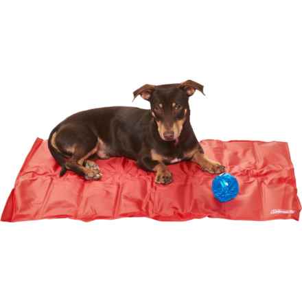 Coleman Pet Cooling Mat with Toy - 24x30” in Red