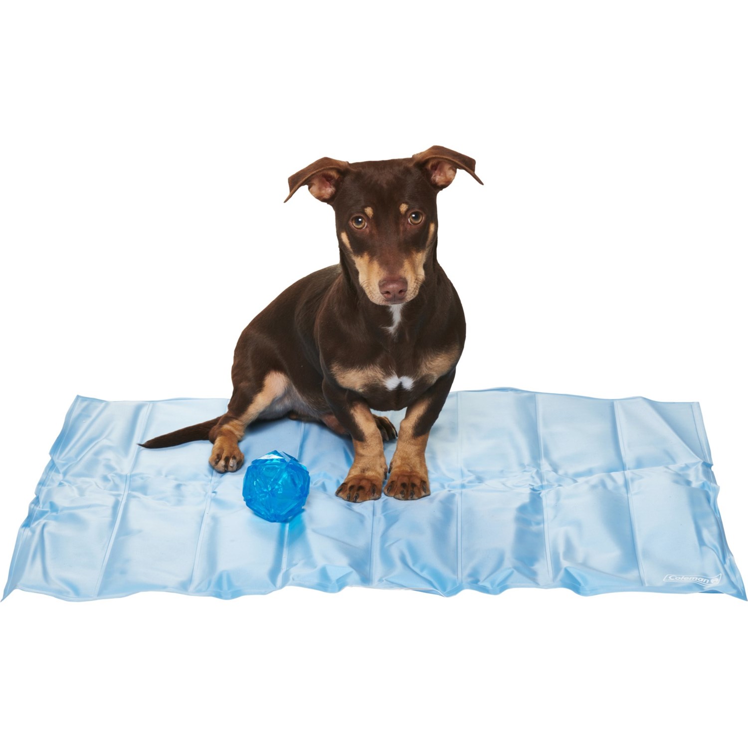 Coleman Pet Cooling Mat with Toy - 34x30” - Save 27%