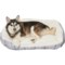 Coleman Plaid Cuddler Dog Bed - 36x27” in Charcoal