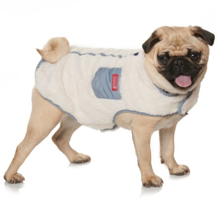 Coleman dog life on sale jacket