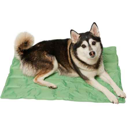 Coleman Rectangle Cooling Pet Mat - Large, 24x30” in Green