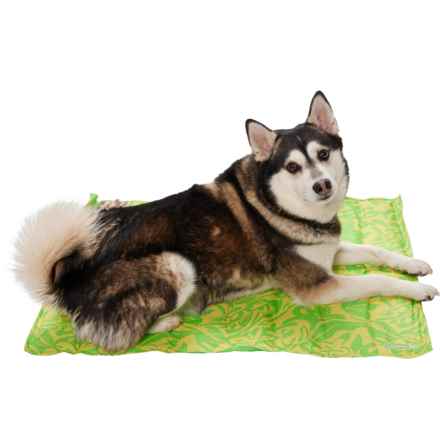Coleman Rectangle Cooling Pet Mat - Large, 24x30” in Green