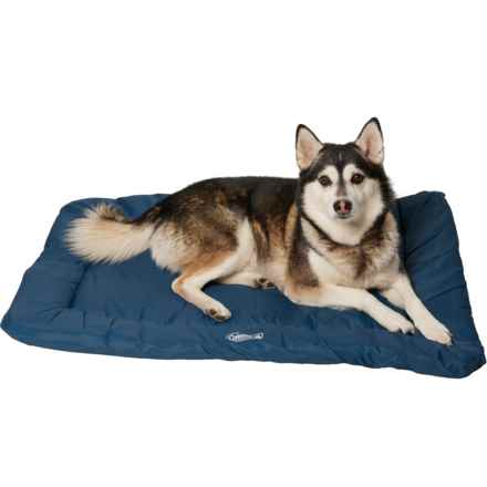 Coleman Roll-Up Travel Dog Bed - 36x24” in Navy