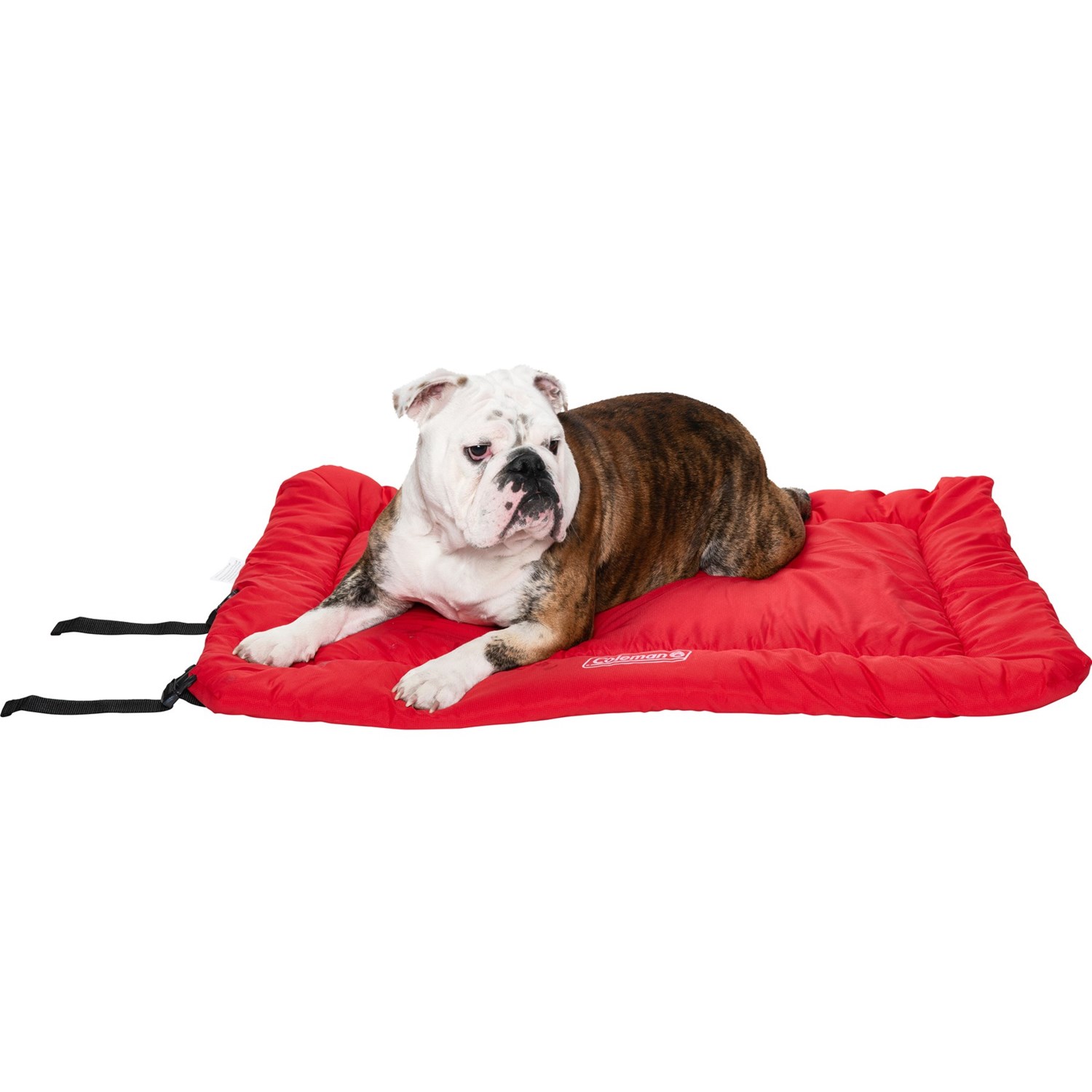 Coleman RollUp Travel Pet Bed 24x36” Save 28