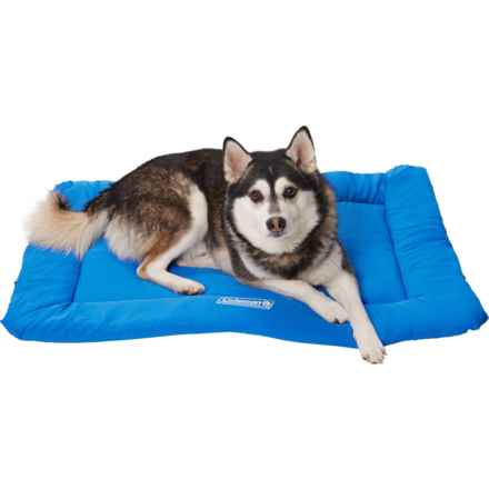 Coleman Roll-Up Travel Pet Bed - 24x36x2” in Blue