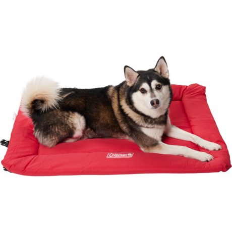 Coleman Roll-Up Travel Pet Bed - 36x24x2” in Red