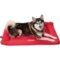 Coleman Roll-Up Travel Pet Bed - 36x24x2” in Red