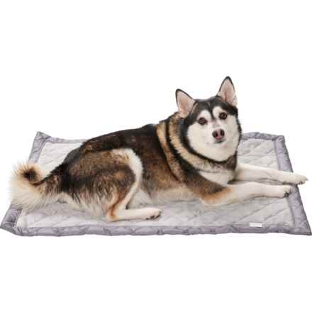 Coleman Roll-Up Travel Pet Mat -  24x36” in Gray