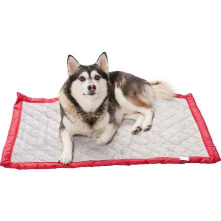 Coleman Roll-Up Travel Pet Mat -  24x36” in Red