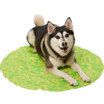 Coleman Round Reversible Cooling Pet Mat - 30” in Green