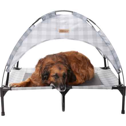Coleman X-Large Folding Pet Cot with Canopy - 36x29x7” in Gray