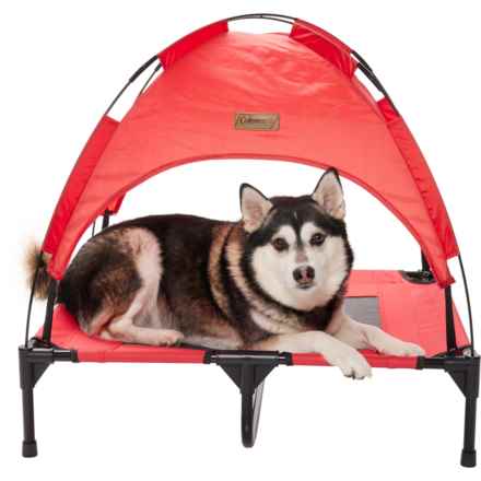 Coleman X-Large Folding Pet Cot with Canopy - 36x29x7” in Red