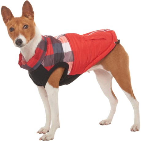 silver paw dog jacket