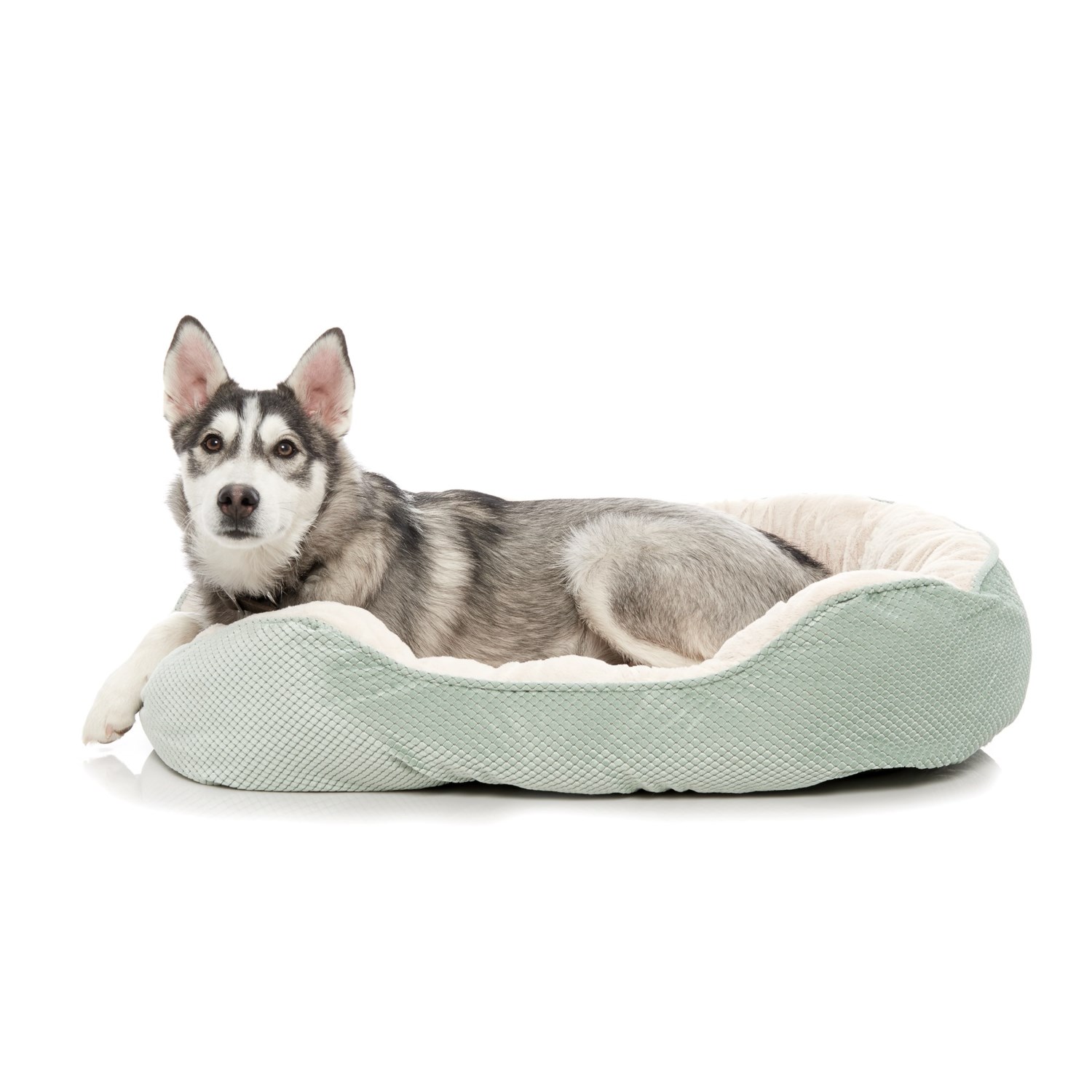 plush orthopedic dog bed