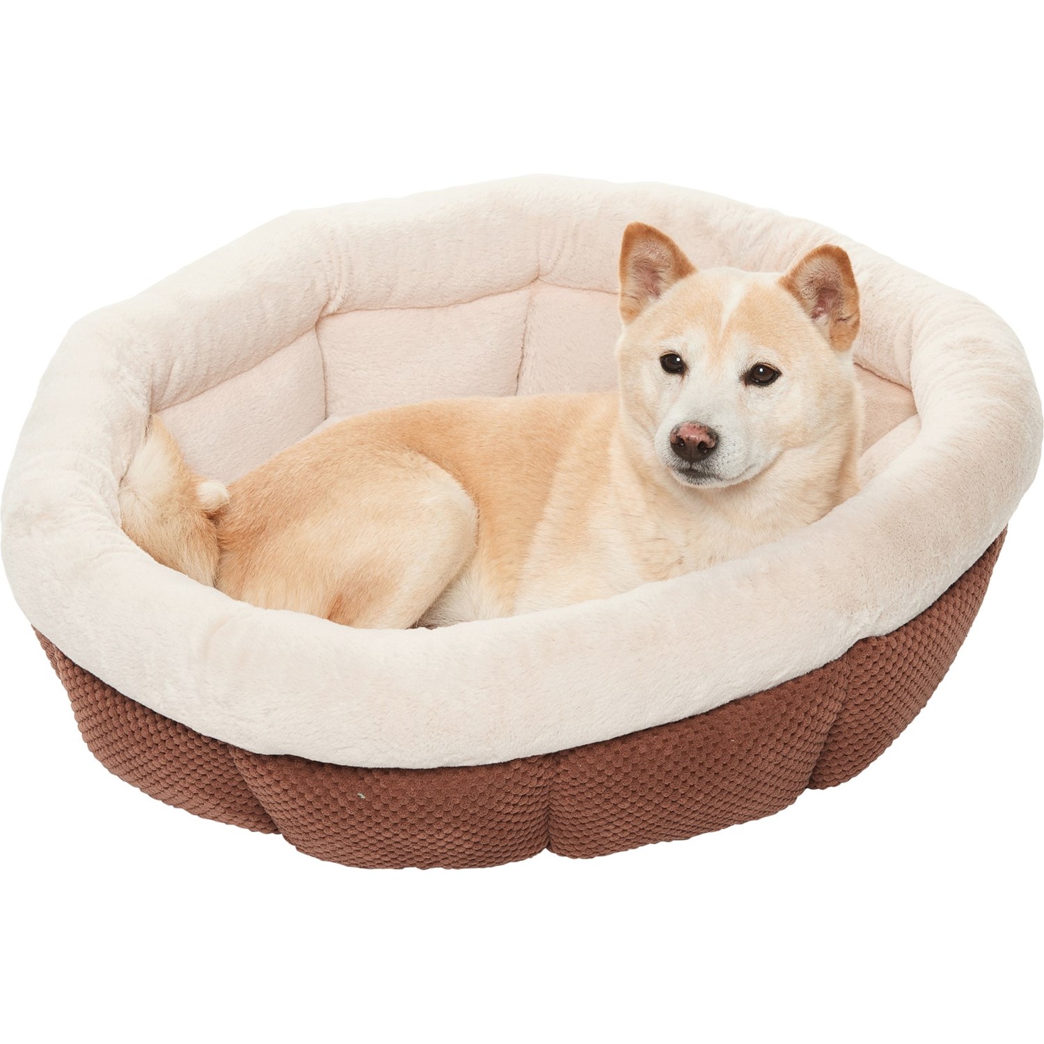 velvet dog bed