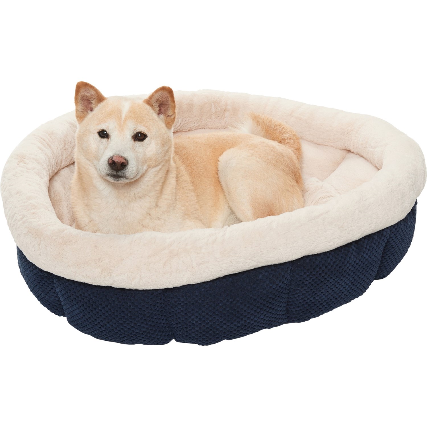 velvet dog bed
