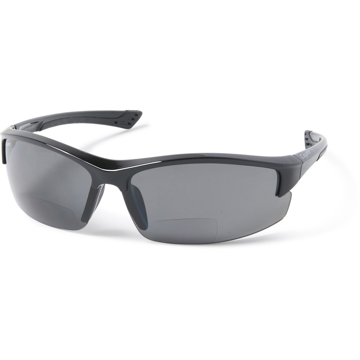 polarized sunglasses with bifocal lens