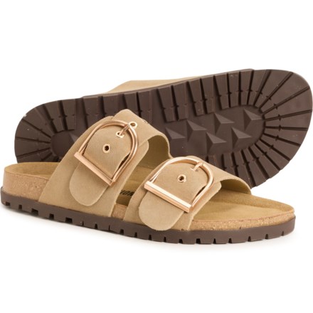 517816_7