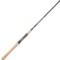 Daiwa Procyon Inshore Medium Casting Rod - 8-17 lb., 6’8”, 1-Piece in Multi