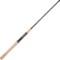 4NRRG_2 Daiwa Procyon Inshore Medium Casting Rod - 8-17 lb., 6’8”, 1-Piece
