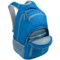 3863D_3 DaKine Campus 33L Backpack - Large