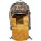 4CNGA_4 DaKine Heli Pro 20 L Backpack - Painted Canyon