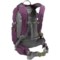 3321M_2 DaKine Heli Pro Deluxe 18L Snowsport Backpack  (For Women)