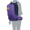 1NXTM_2 Deuter Freerider 28 SL Backpack - Internal Frame, Violet-Navy (For Women)