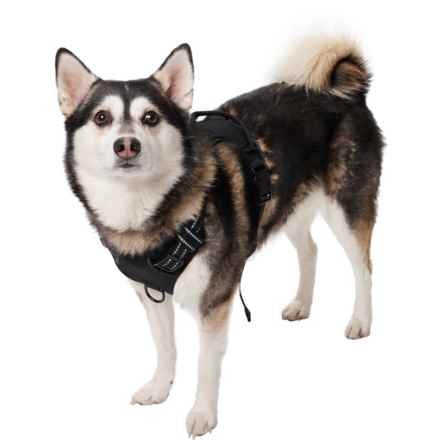 Dipperdap Adjustable Dog Harness in Black