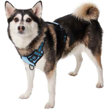 Dipperdap Adjustable Dog Harness in Blue