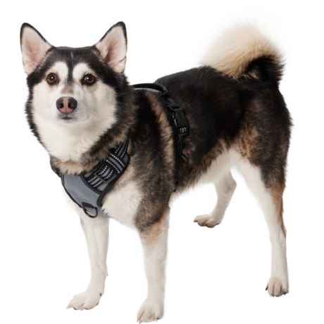Dipperdap Adjustable Dog Harness in Gray
