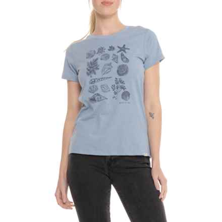 DNU - MOUNTAIN & ISLES Shells & Flowers Graphic T-Shirt - Short Sleeve in Slate Heather